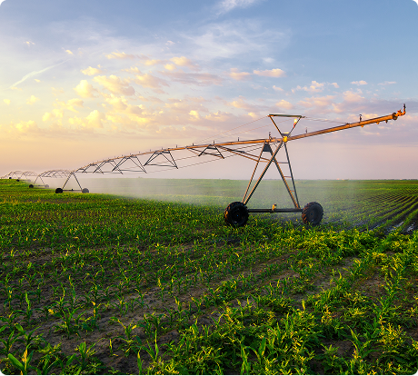 Engagement envers l’Économie Nationale